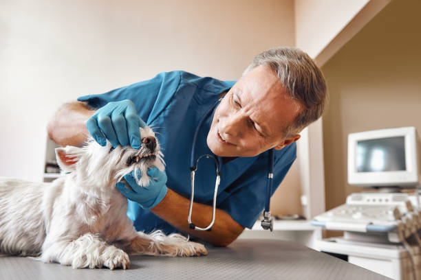 Best Emergency Dental Extractions in Lancaster, OH